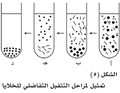 تصغير للنسخة بتاريخ 18:15، 11 يناير 2011