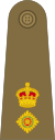 Lieutenant-Colonel