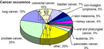 السرطان الشائعة بين الذكور في الولايات المتحدة، من حيث عدد المصابين[4]