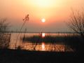 Lake Biwa, the largest lake in Japan and 3rd oldest lake in the world.