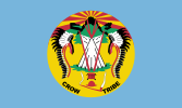 Flag of the Crow Nation