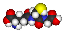 Glutathione-3D-vdW.png