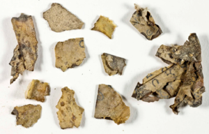 قطع من مخطوطات البحر الميت عثر عليها في 19 مارس 2021.