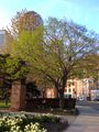 An Entrance to Bushnell Park