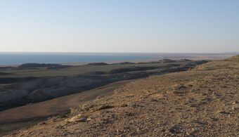 Vue méridionale de la Grande mer d'Aral, Ouzbékistan (2012-05-01).jpg