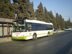 حافلات النقل العام في شارع الجامعة