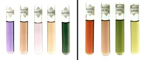 Five fluids in glass test tubes: violet, Pu(III); dark brown, Pu(IV)HClO4; light purple, Pu(V); light brown, Pu(VI); dark green, Pu(VII)