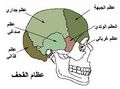 تصغير للنسخة بتاريخ 04:07، 8 مايو 2007