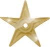 Gold barnstar 2.png