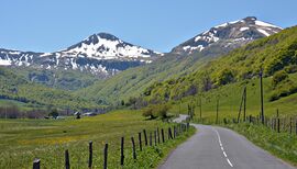 Fond-de-la-vallée-de-Cheylade-dpt-Cantal-DSC 2480.jpg