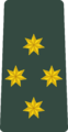 კაპიტანი (kapitani) Georgian Army