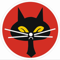"Black Cat". 35th Squadron