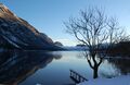 Lake Bohinj