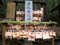 A "breast shrine" at the Kasuga Shrine walk decked with Ema plaques