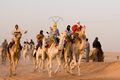 20070227 OUARGLA Camel Race.jpg