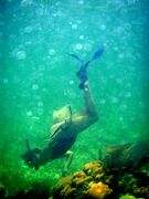 Snorkeling the reef