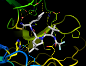 Xray crystal structure PDB:7si9