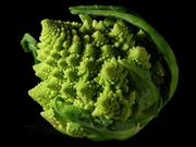 Romanesco broccoli (actually a cauliflower cultivar), showing fractal forms