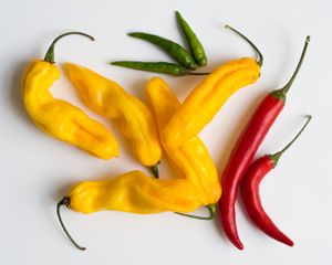 Madame Jeanette and other chillies.jpg