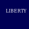 Schenectady Liberty Flag
