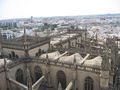The roof of the cathedral as seen from the Giralda tower.