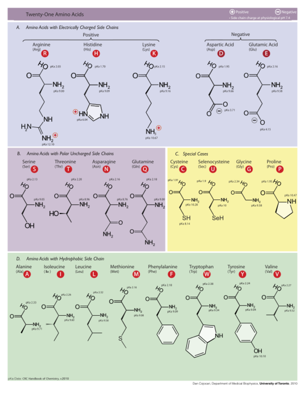 Table of amino acids