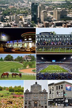 من أعلى، يسار إلى يمين: خط أفق لكسنگتون، ملعب رپ/مركز لكسنگتون، Keeneland Race Course, Donamire Farm, ملعب كروگر، مشجرة جامعة كنتكي، مبنى المحكمة القديم لمقاطعة فايـِت، NTRA headquarters