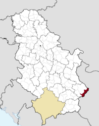 Location of the municipality of Dimitrovgrad within Serbia