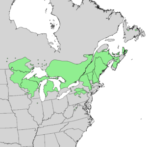 Pinus resinosa range map 1.png