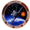 Sts-7-patch.png