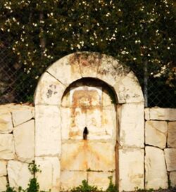 BATROUMINE WATER SPRING.jpg