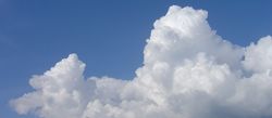 Cumulus congestus cloud