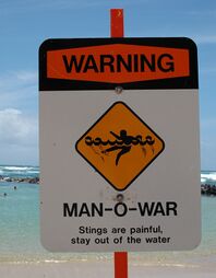 Man o' war warning sign, Hawaii