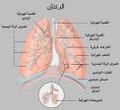 تصغير للنسخة بتاريخ 09:28، 27 أغسطس 2005