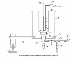 Constant tempertature bath for isolated organs Wellcome M0013241.jpg