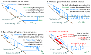 Four figures showing 1) how the buoyancy of an ice shelf supports the descending glacier, slowing its motion, 2) how warmer temperatures reduce the mass of the ice shelf and provide more meltwater to lubricate the glacier, causing it to move faster, 3) how a missing ice shelf leads to more rapid glacier motion and rapid calving into the sea, and 4) how this leads to a thinner glacier with a steeper surface which moves even faster