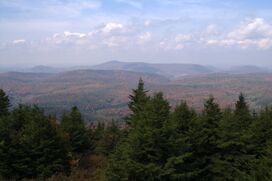 View from the observation tower atop of Spruce Knob WV.jpg