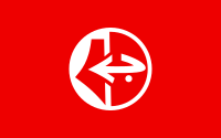Flag of PFLP.svg