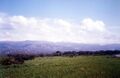 Batroumine green fields