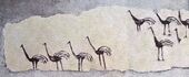 رسم جداري في منزل من العصر الحجري الحديث في تل بقرص. نسخة في متحف دير الزور (نسخة).[4]