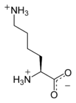 Skeletal formula of the L-monocation (positive polar form)