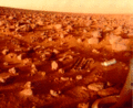 Rocks on Mars – viewed by the Viking 2 Lander (September 25, 1977).