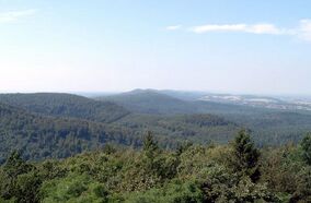 Blick-über-den-Teutoburger-Wald1.jpg