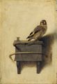The Goldfinch (1654), showing Fabritius' use of cool colour harmonies, delicate lighting effects, and a light background
