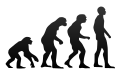 Silhouette image representing human evolution