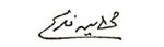 Muhammad Amin Fekry Signature.jpg