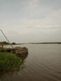 Pirogues sur lagune de Porto-Novo.jpg