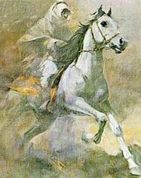 حصان عربي.