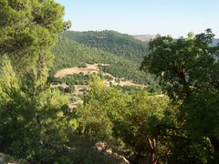 Forests surround Ajloun