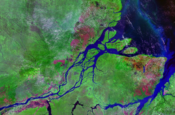 Satellite image of large river delta covered by lush green vegetation